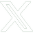 x icon